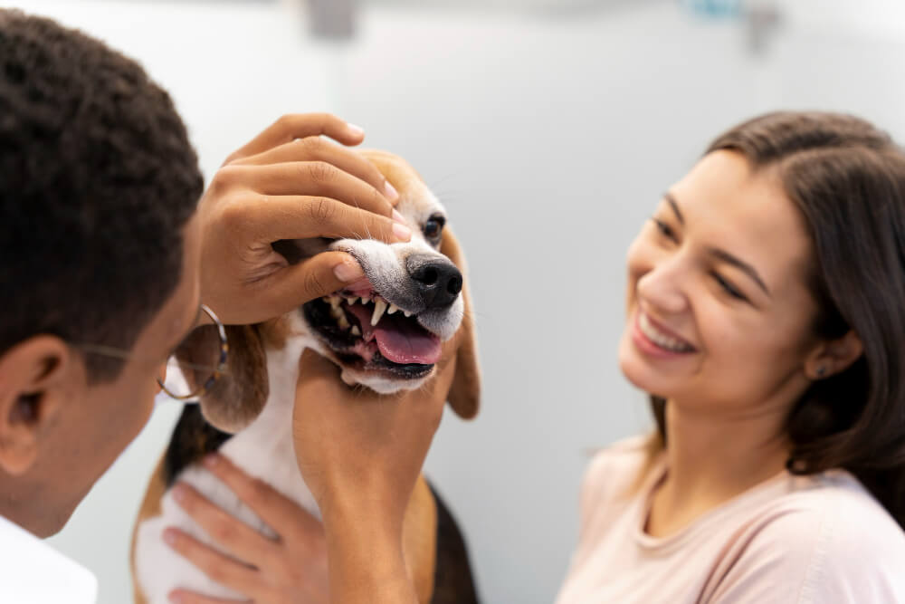 Dental Care in Miami