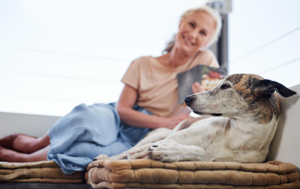 Geriatric Care in Miami