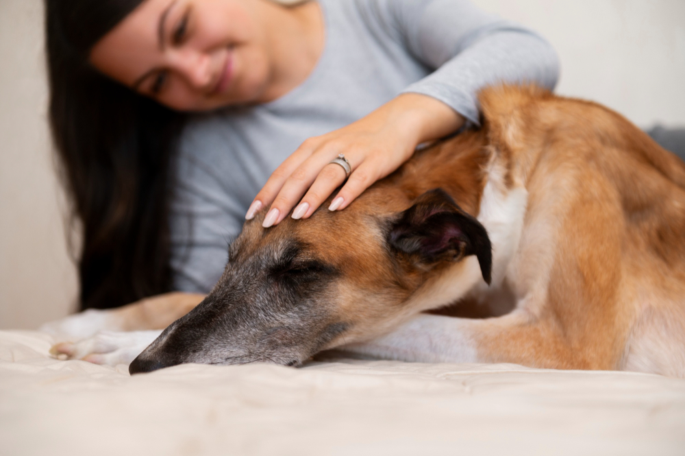 Pain Management in Miami