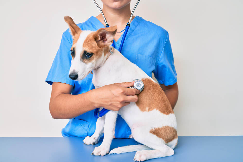Preventative Care in Miami