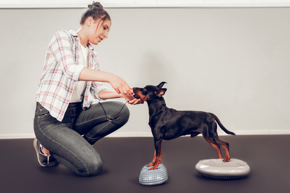 Rehabilitation Therapy in Miami